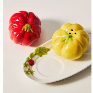 Anthropologie Home Rina Heirloom Tomato Salt & Pepper Shaker Set Like New